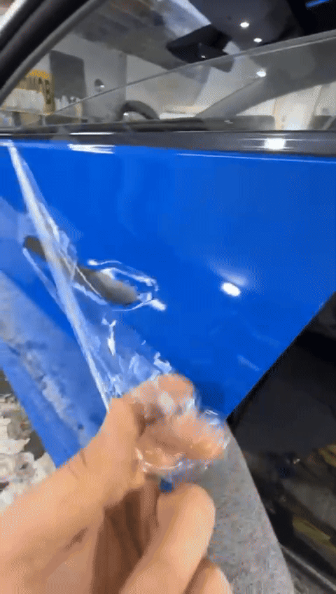 bear wrap auto tesla model 3