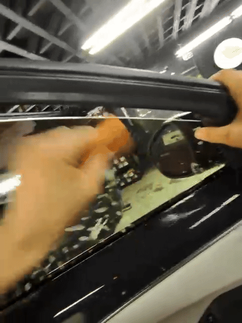 bear wrap auto ,windows tinting